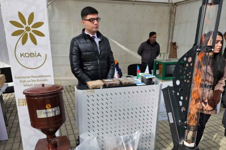 Kiçik və orta Biznesin inkişafı agentliyiyinin təşəbbüsü ilə Göyçayda keçirilən KOBFEST yarmarkası